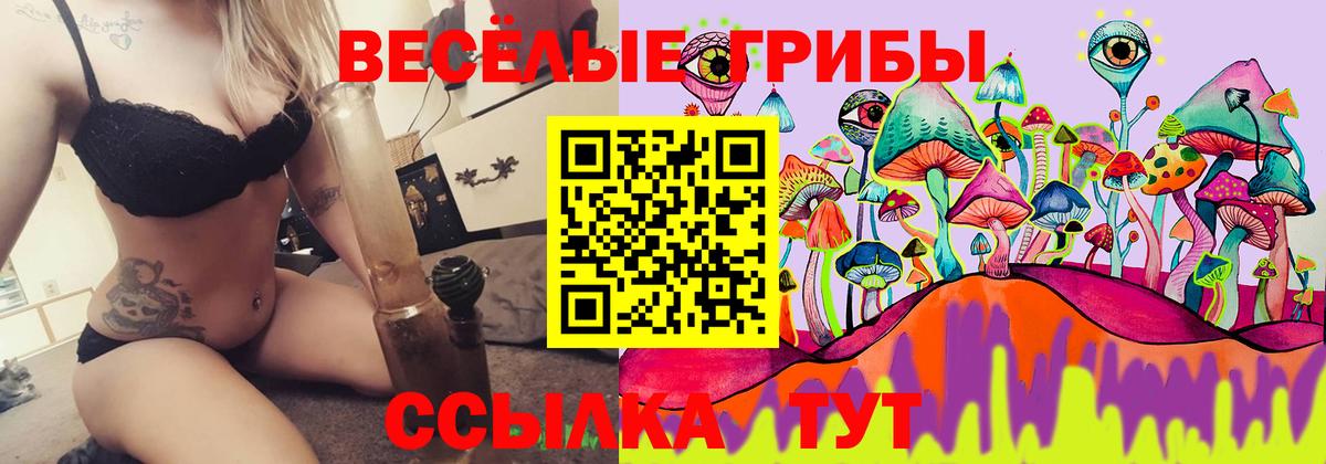 Нурлат  Галлюциногенные грибы Psilocybine cubensis  Псилоцибиновые грибы Psilocybine cubensis  Вход с VPN 